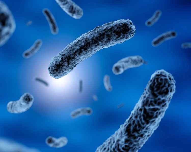 Legionella Kontrol